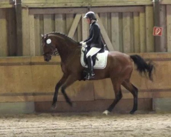 Sommerturnier Fröndenberg 2015