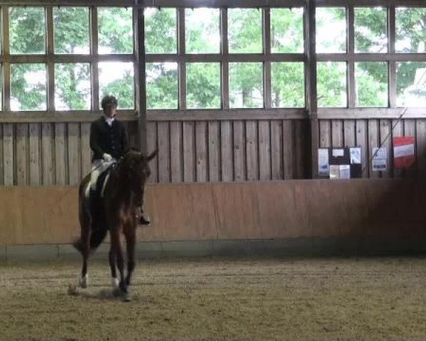 Sommerturnier Fröndenberg 2015
