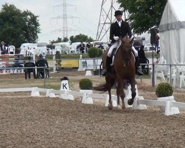 Sommerturnier RFV Heinsberg 2015