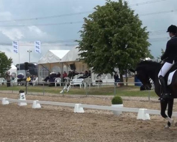 Sommerturnier RFV Heinsberg 2015