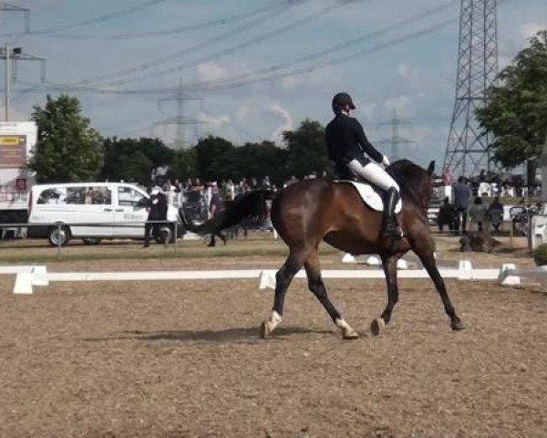 Sommerturnier RFV Heinsberg 2015