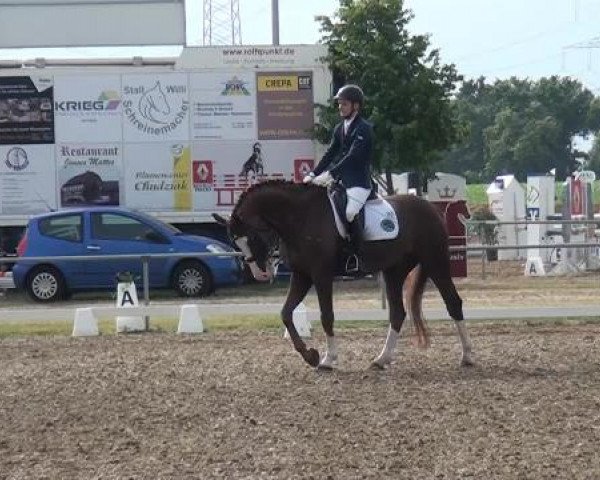 Sommerturnier RFV Heinsberg 2015