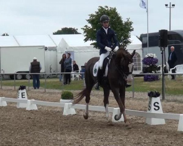 Sommerturnier RFV Heinsberg 2015