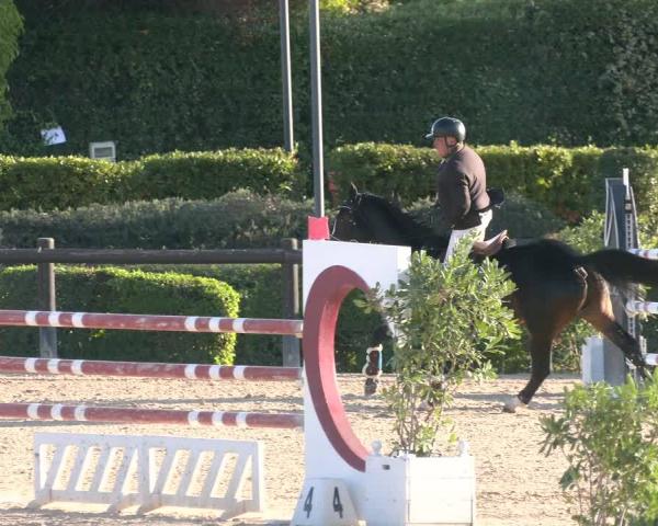 FEI Concurso Hipico San Giovanni in Marignano (IT) 2026