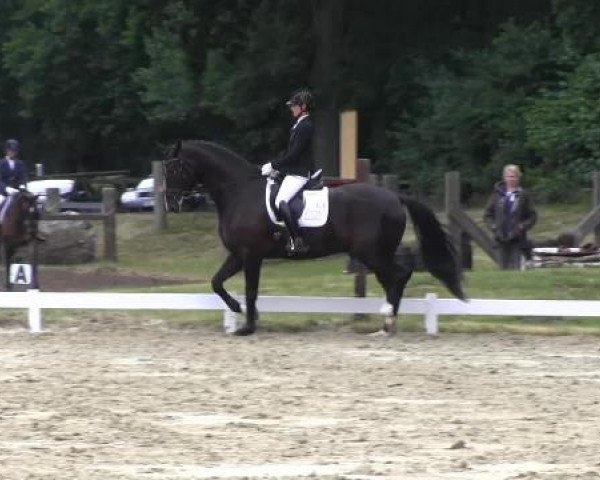 Coesfelder Reitertage 2015