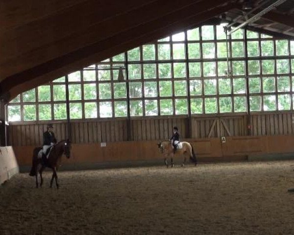 Sommerturnier Fröndenberg 2015