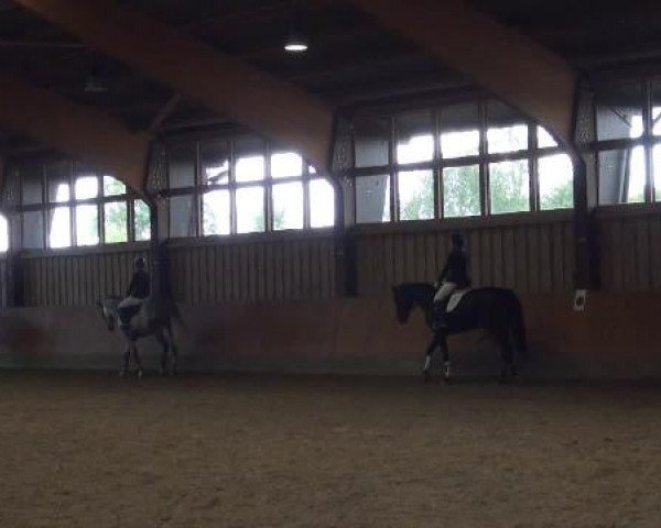 Sommerturnier Fröndenberg 2015