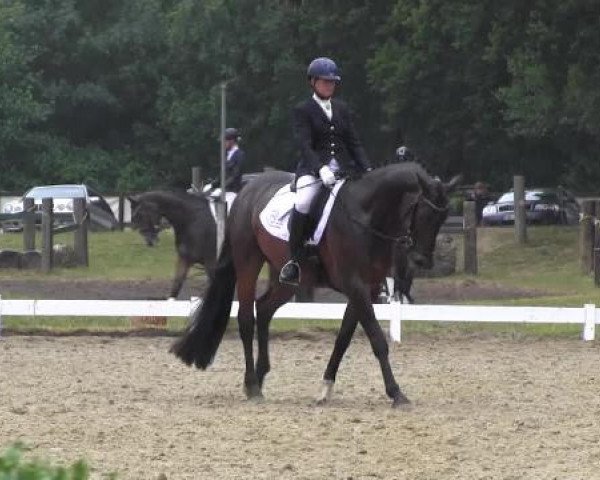 Coesfelder Reitertage 2015