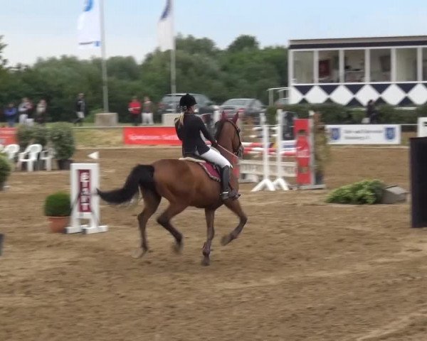 Sommerturnier RFV Heinsberg 2015