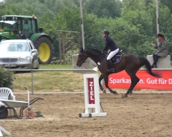 Sommerturnier RFV Heinsberg 2015