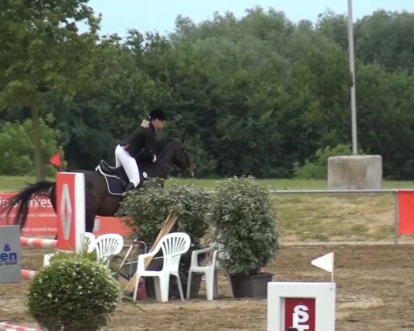 Sommerturnier RFV Heinsberg 2015