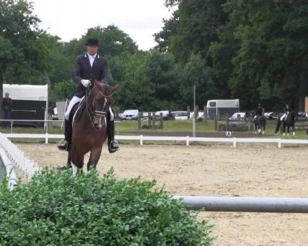 Coesfelder Reitertage 2015