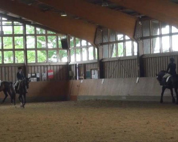 Sommerturnier Fröndenberg 2015