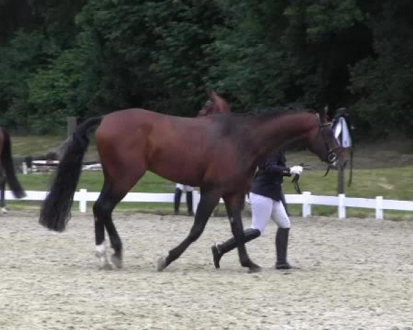 Coesfelder Reitertage 2015