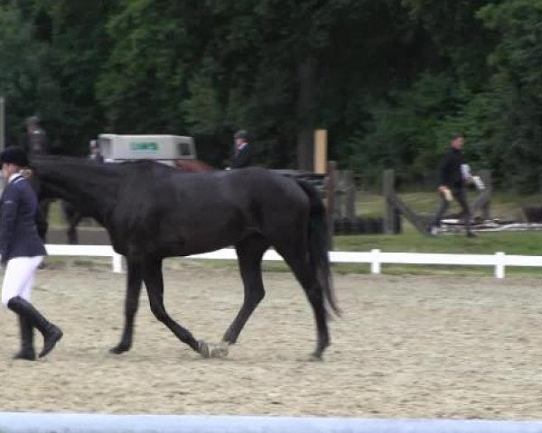 Coesfelder Reitertage 2015