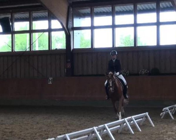 Sommerturnier Fröndenberg 2015