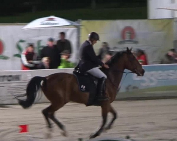 FEI Reitturnier Sommerstorf (GER) 2015