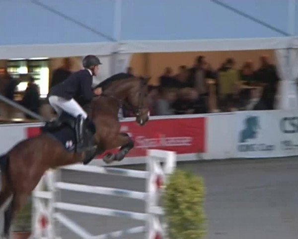 FEI Reitturnier Sommerstorf (GER) 2015