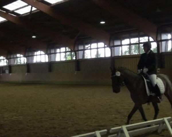 Sommerturnier Fröndenberg 2015