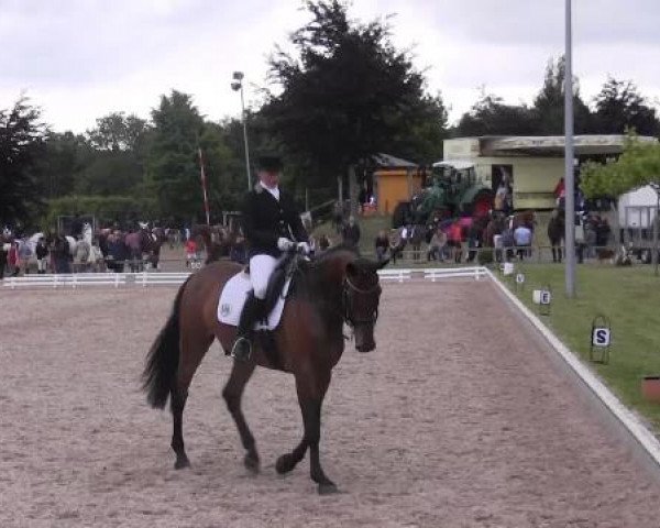 Sommerturnier Fröndenberg 2015