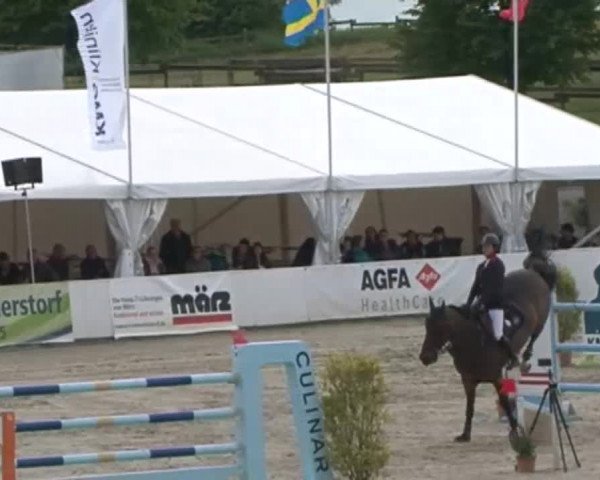FEI Reitturnier Sommerstorf (GER) 2015