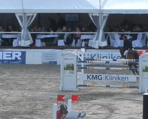 FEI Reitturnier Sommerstorf (GER) 2015