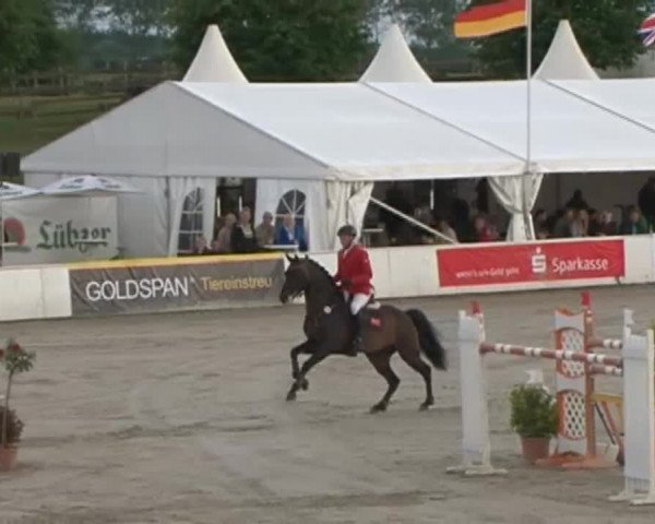 FEI Reitturnier Sommerstorf (GER) 2015