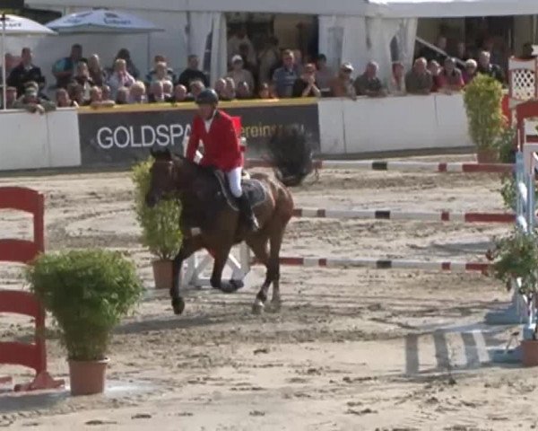 FEI Reitturnier Sommerstorf (GER) 2015