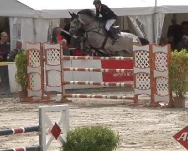 FEI Reitturnier Sommerstorf (GER) 2015
