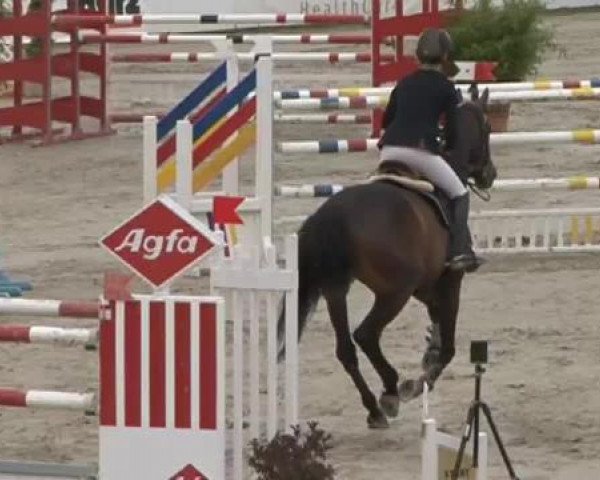FEI Reitturnier Sommerstorf (GER) 2015