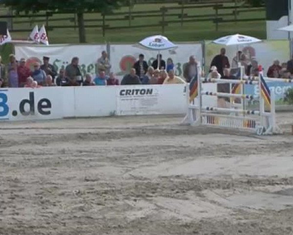 FEI Reitturnier Sommerstorf (GER) 2015