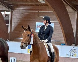 horse Masterpeace GS (Oldenburg, 2017, from E.H. Millennium)