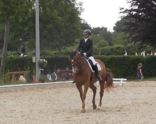 Sommerturnier Fröndenberg 2015