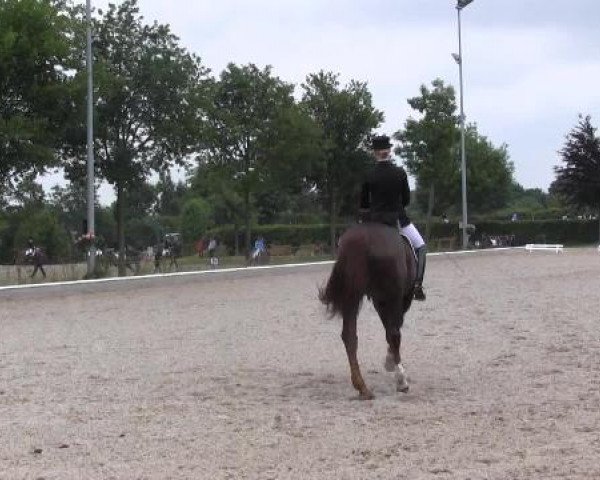 Sommerturnier Fröndenberg 2015