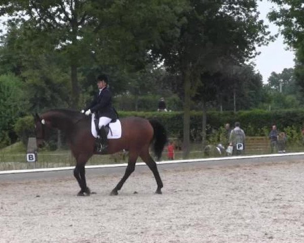 Sommerturnier Fröndenberg 2015