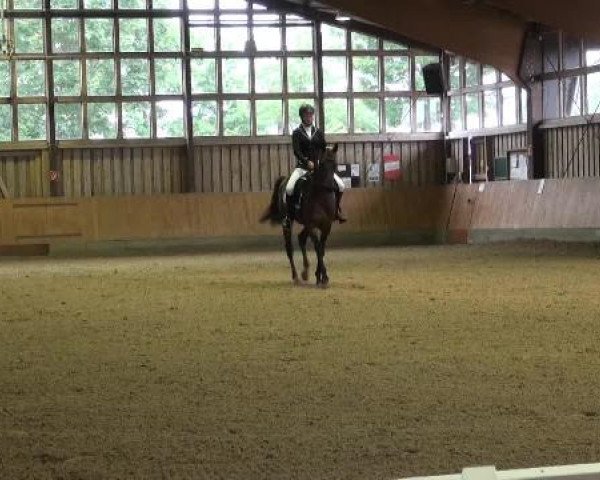 Sommerturnier Fröndenberg 2015