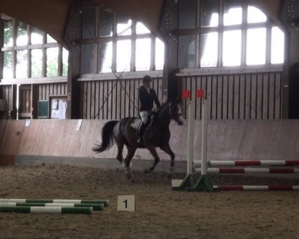 Sommerturnier Fröndenberg 2015