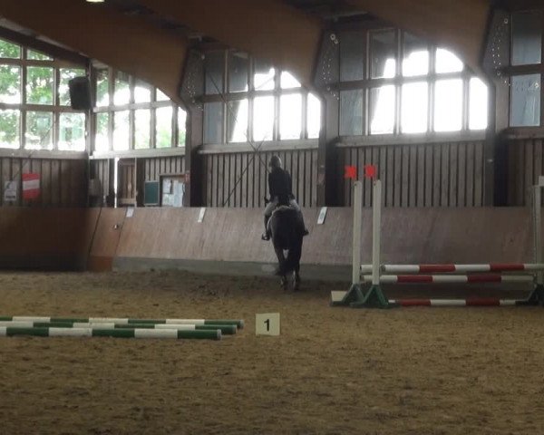 Sommerturnier Fröndenberg 2015