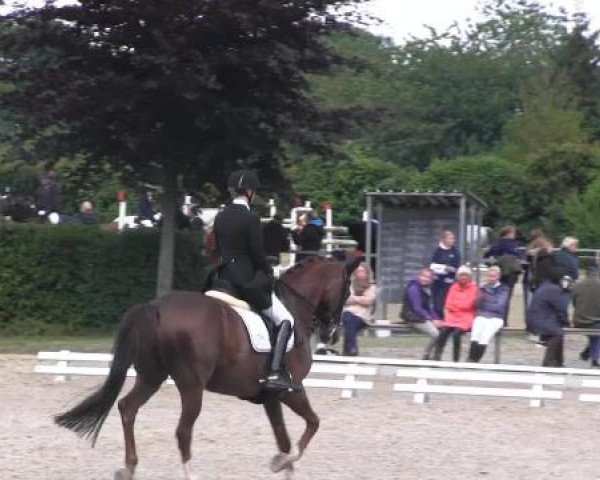 Sommerturnier Fröndenberg 2015
