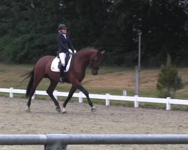 Coesfelder Reitertage 2015