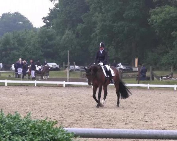 Coesfelder Reitertage 2015