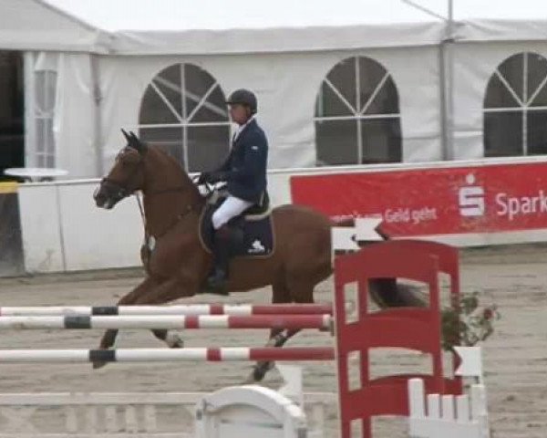 FEI Reitturnier Sommerstorf (GER) 2015