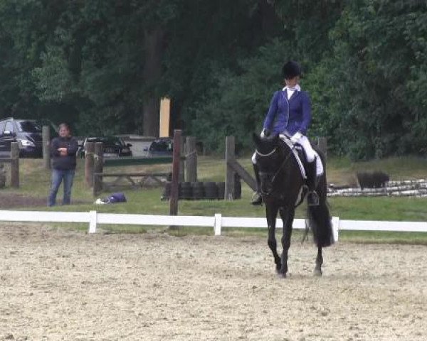 Coesfelder Reitertage 2015