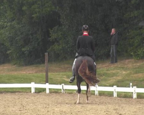 Coesfelder Reitertage 2015