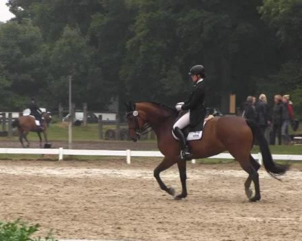 Coesfelder Reitertage 2015