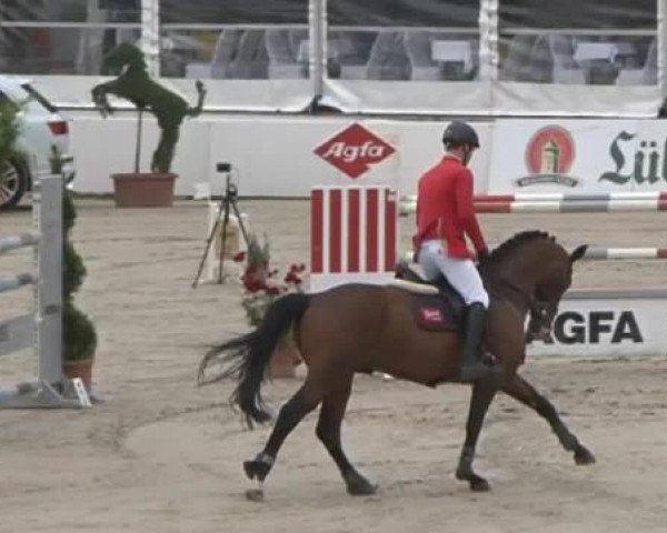 FEI Reitturnier Sommerstorf (GER) 2015
