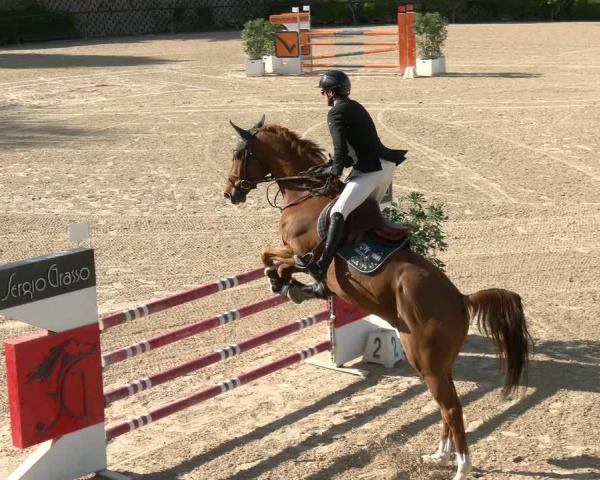 FEI Concurso Hipico San Giovanni in Marignano (IT) 2026