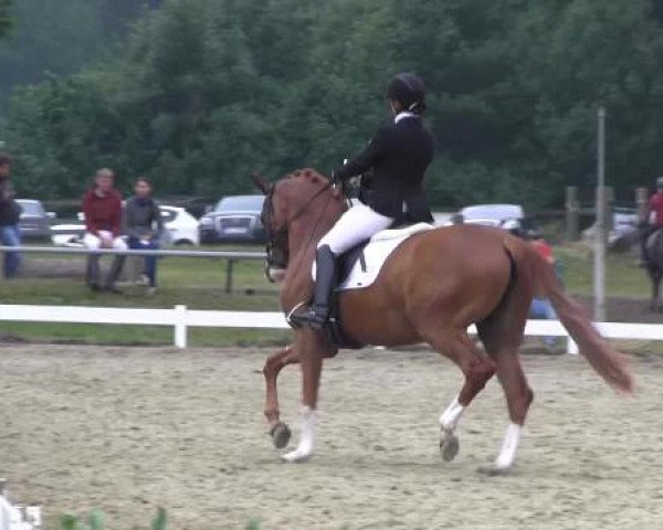 Coesfelder Reitertage 2015