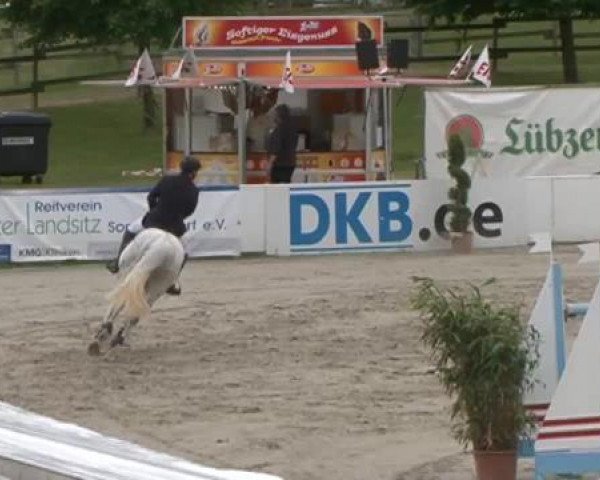 FEI Reitturnier Sommerstorf (GER) 2015