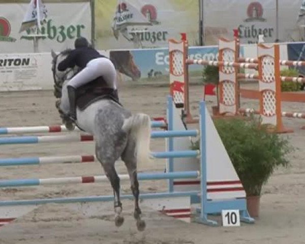 FEI Reitturnier Sommerstorf (GER) 2015